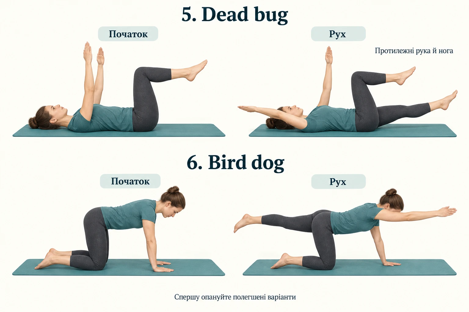 Вихідне положення та рух протилежних руки й ноги у вправах dead bug і bird dog