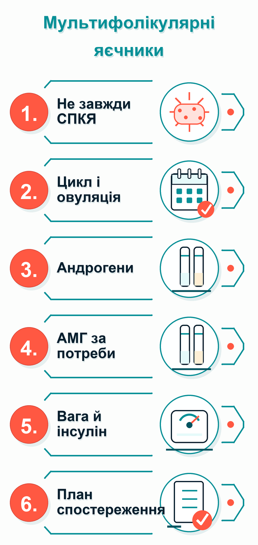 Інфографіка: Мультифолікулярні яєчники на УЗД: що робити