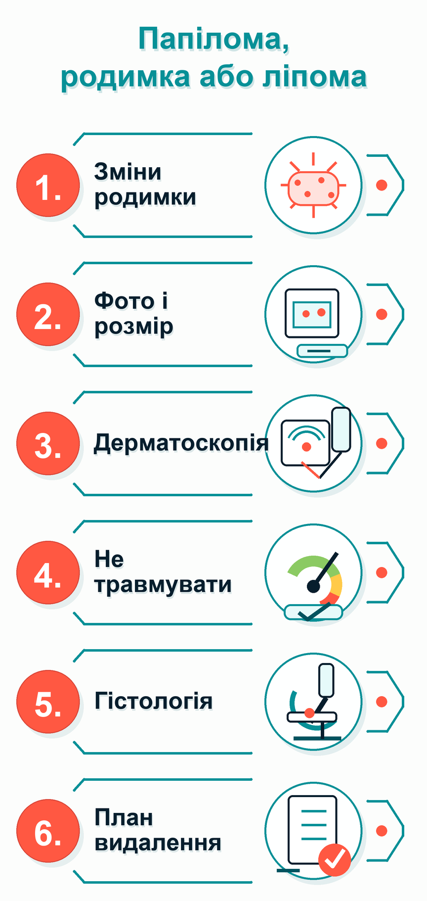 Інфографіка: Папілома, родимка або ліпома: що робити