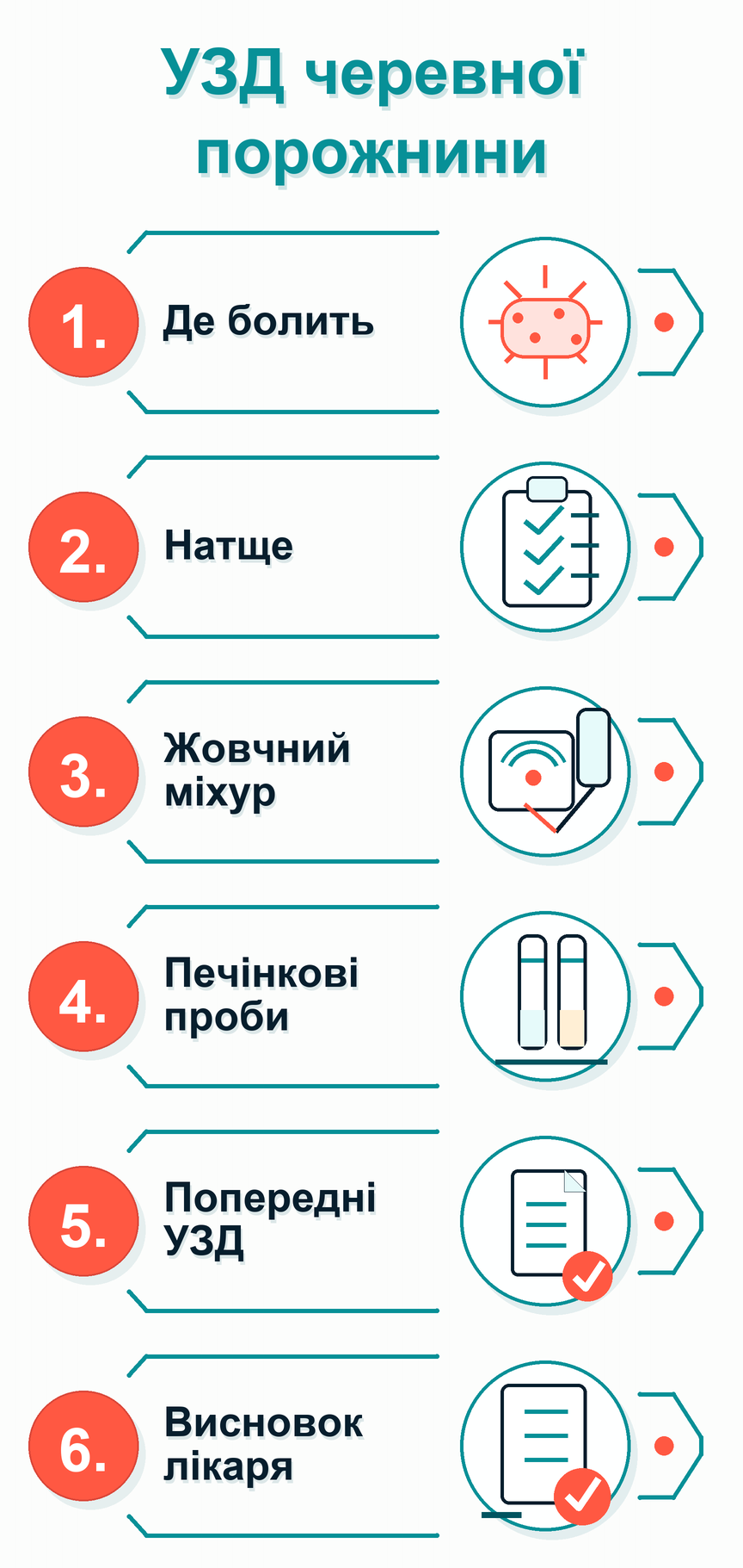 Інфографіка: Потрібне УЗД черевної порожнини: що робити