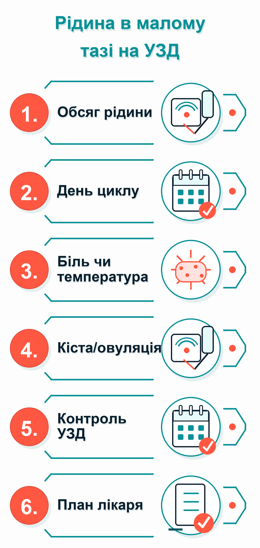 Інфографіка: Рідина в малому тазі на УЗД: що робити