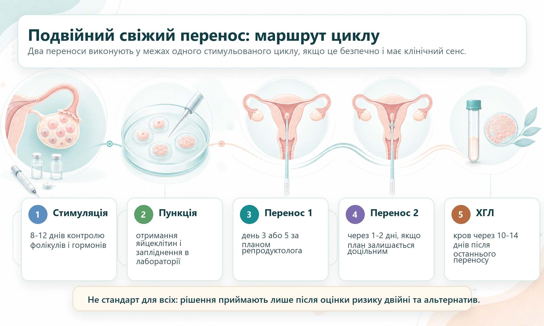 Схема подвійного свіжого ембріотрансферу: стимуляція, пункція, перший перенос, другий перенос і контроль ХГЛ