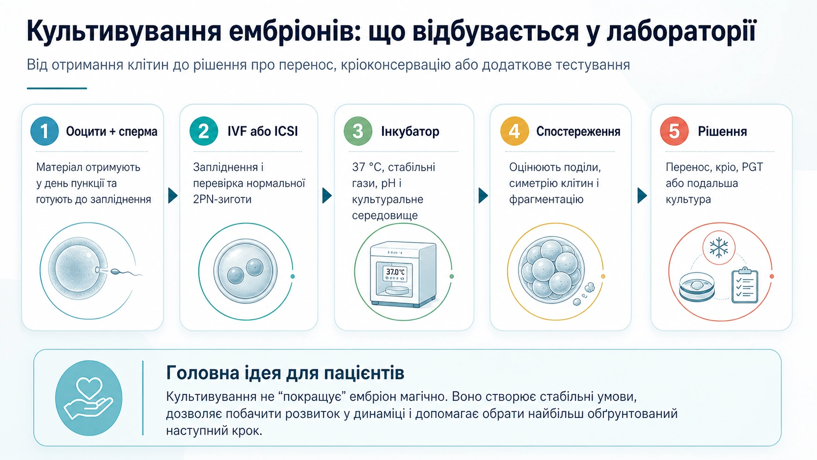 Схема культивування ембріонів: ооцити і сперма, IVF або ICSI, інкубатор, спостереження та рішення про перенос, кріо або PGT