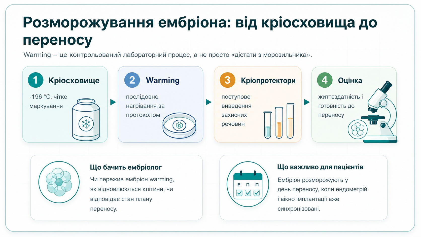 Оновлена інфографіка ChatGPT Image 2: розморожування ембріона від кріосховища до переносу