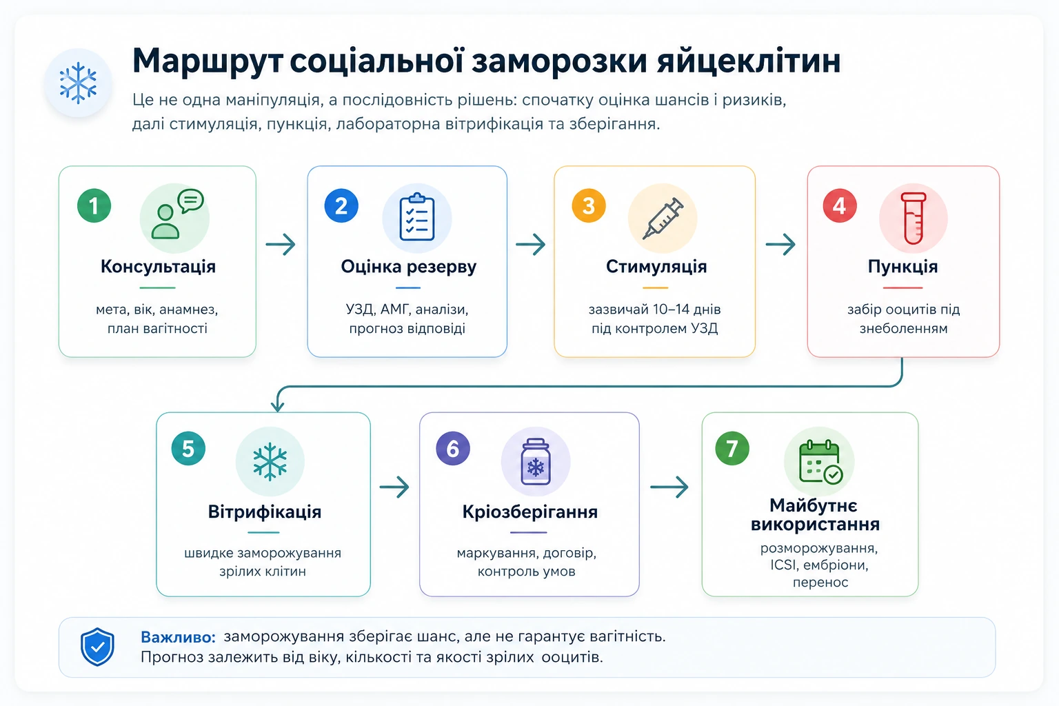 Маршрут соціальної заморозки яйцеклітин: консультація, оцінка резерву, стимуляція, пункція, вітрифікація, кріозберігання та майбутнє використання