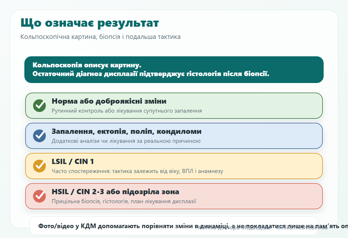 Інфографіка: як інтерпретують результати кольпоскопії та біопсії шийки матки