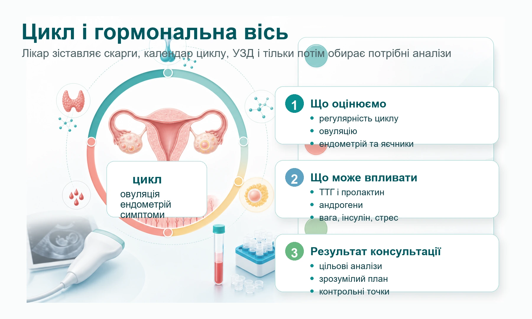 Інфографіка: цикл, овуляція, ендометрій, гормональна вісь і цільові аналізи на консультації гінеколога-ендокринолога