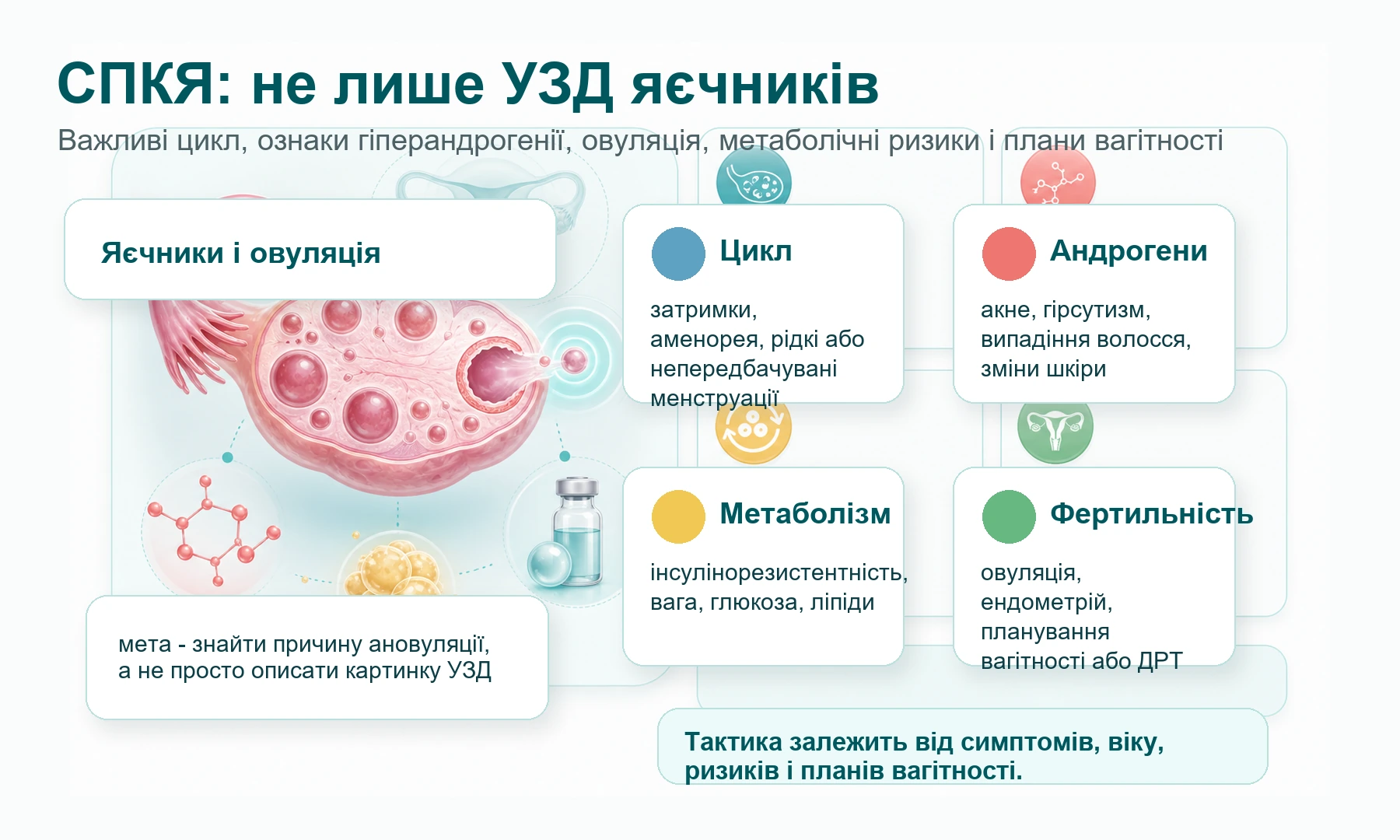 Інфографіка: СПКЯ, цикл, андрогени, метаболічні ризики, овуляція і фертильність